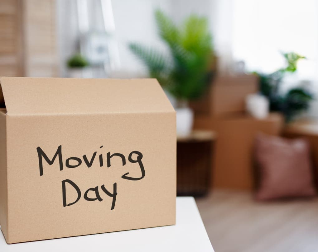 Downsizing to a Condo: A Complete Guide for Canadians