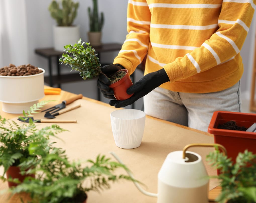 Practical Tips for Balcony Gardening Success — Condo Gardening: Can You Grow Plants on a Condo Balcony?