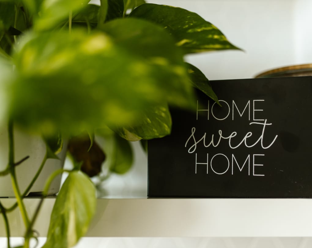 Combining the FHSA with Other First-Time Buyer Programs — FHSA and Condo Buying: How to Use Your First Home Savings Account