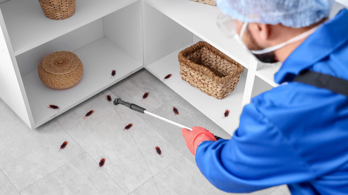 Health and Property Risks Condo Owners Should Know — How to Get Rid of Cockroaches in a Condo: Who Is Responsible and What to Do