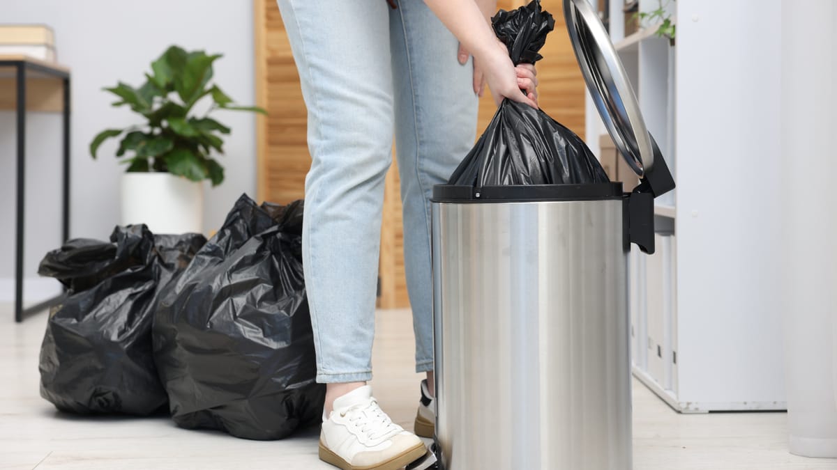 When Condo Management or Property Managers Must Act — How to Get Rid of Cockroaches in a Condo: Who Is Responsible and What to Do