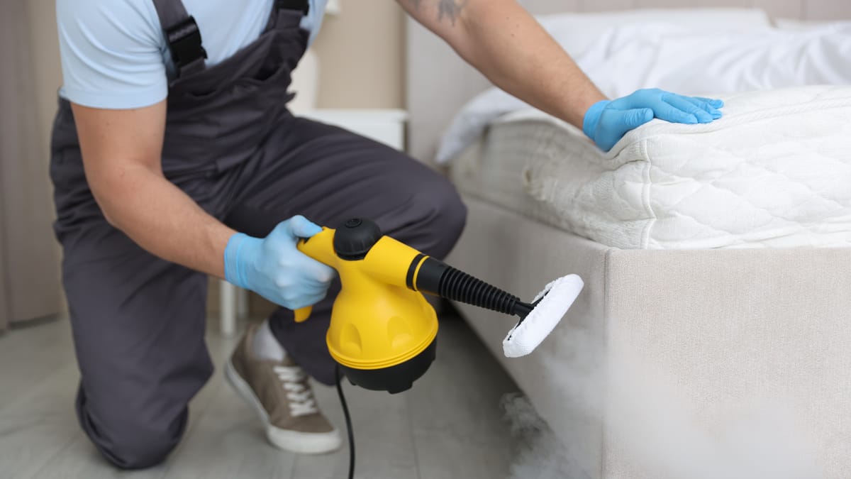 How to Handle a Bed Bug Infestation in a Condo in Canada