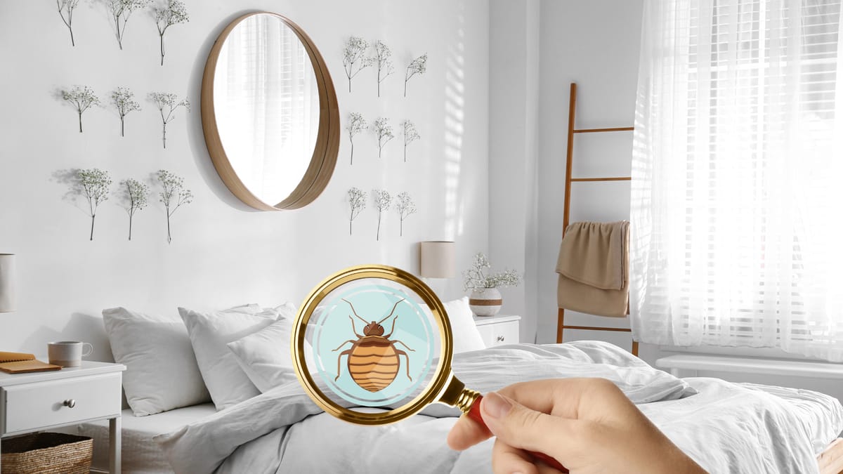 Simple Ways to Prevent Bed Bugs in Condo Canada — How to Handle a Bed Bug Infestation in a Condo in Canada