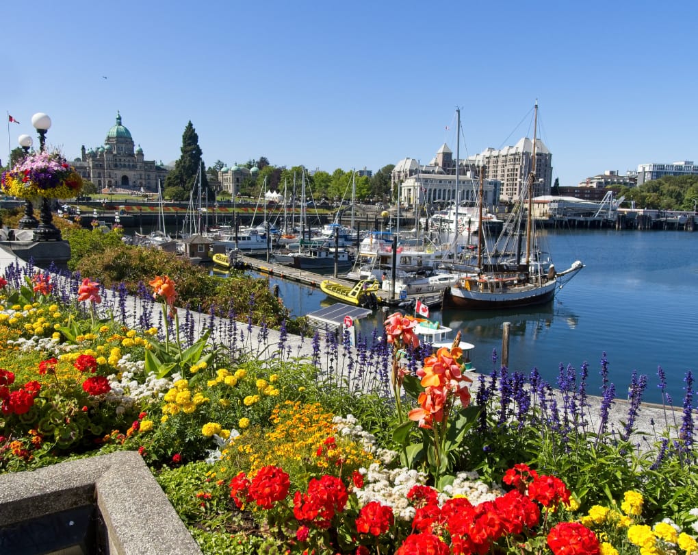 Victoria, BC Waterfront Condos: Boutique Coastal Stability — Wake Up to the Water: Canada’s Best Cities for Waterfront Condo Living