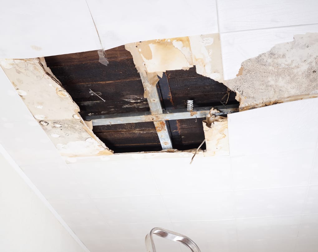 What Is Not Covered — What Is a Tarion Warranty and How Does It Protect New Condo Buyers?