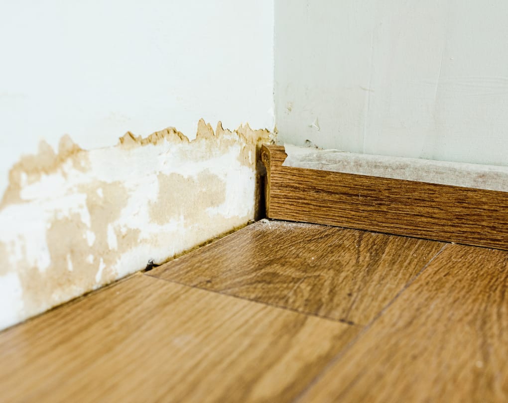 What About Damage Inside the Unit? — Who Is Responsible for Structural Issues in a Condo in Canada?